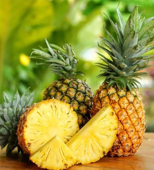  Pineapple